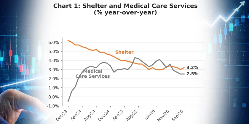 Chart: Shelter and Medical Care Services (% year-over-year)